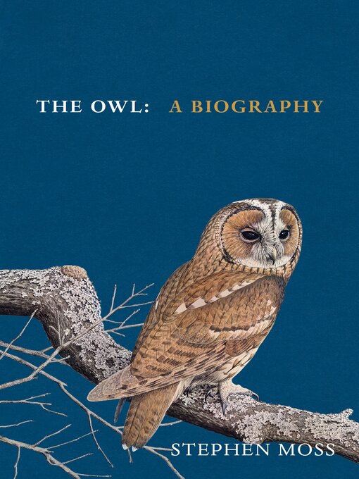 Title details for The Owl by Stephen Moss - Available